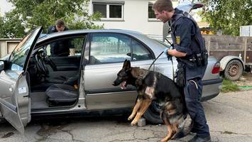 drogen-bande bei hamburg fliegt auf: polizei findet kokain und machete