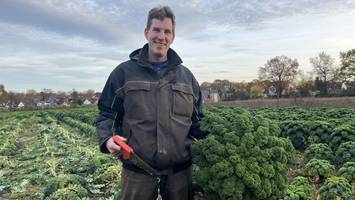 Grünkohl: Wo das norddeutsche Superfood auf der Speisekarte steht