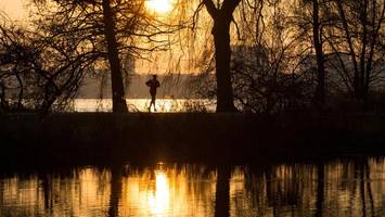 influencer hamann in hamburg: warum er für seinen toten hund läuft