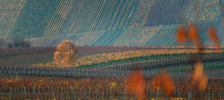 es bleibt warm – so wird das wetter am wochenende in bayern