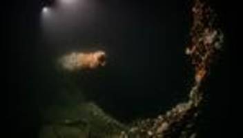 In über 100 Metern Tiefe: Von deutschem U-Boot versenkt: Forscher tauchen zu Wrack