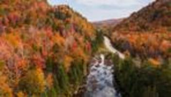vermont route 100: expedition ins glutbaumland