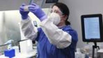 Vogelgrippe: US-Behörde meldet Infektion eines Menschen mit Vogelgrippe-Subtyp H5N5