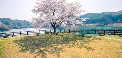 kreislaufwirtschaft: unternehmen und branchen im wandel zur müllvermeidung