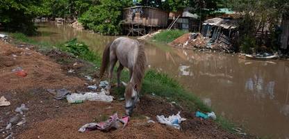 weltklimagipfel in brasilien: glanz und elend von belém – eine stadt am limit
