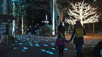 lichter, wärme, schöne gassen: 5 tipps gegen den novemberblues