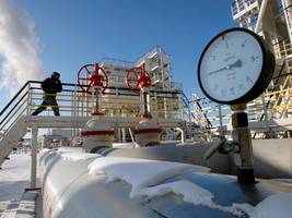 Streitschrift über Sicherheit und Energie: Abhängig von Putin beim Aufrüsten