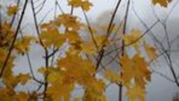 DWD-Prognose: Später Herbst wird trüb, feucht - und dann kalt