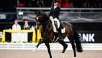 Reitturnier: Schweizer Sieg bei letzter Dressurprüfung in Stuttgart