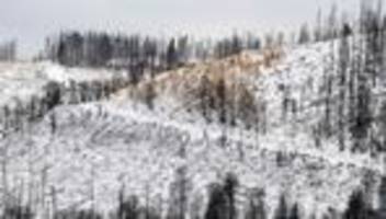 wetter: meteorologen erwarten schnee im oberharz