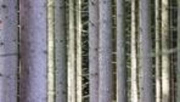 Wetter in Nordrhein-Westfalen: Temperaturen fallen unter zehn Grad - Schnee im Sauerland?