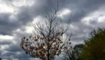 Wettervorhersage: Neue Woche bringt kühlere Temperaturen und Schneeregen