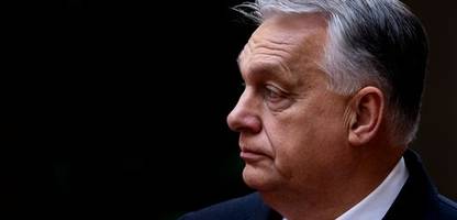 Viktor Orbán bei Matthias Döpfner: Ungarns Ministerpräsident widerspricht sich bei Russland-Äußerungen