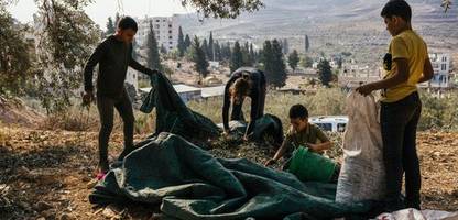 Westjordanland: Gewalt von Siedlern gegen Palästinenser erreicht neuen Höhepunkt