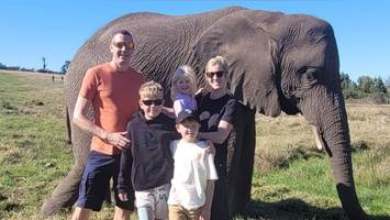 Hamburger Auswanderer werden in Kapstadt nun richtig heimisch