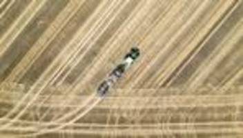 Landwirtschaft: Kritik an Anteilskauf großer Agrarflächen in Ostdeutschland