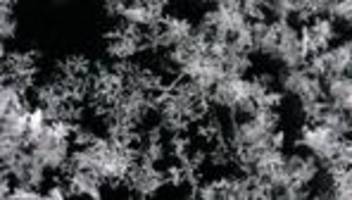 Wetter: Erste Schneeflocken im Sauerland - Warnung vor Glätte