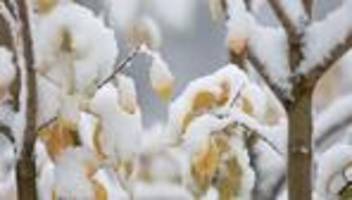 Wetter: Mancherorts wird's weiß - Temperaturen sinken