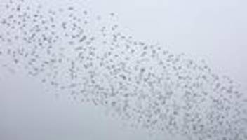 Wetter: Schnee und Glätte in Mitteldeutschland