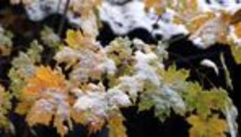 Wettervorhersage: Schneeflocken in Bayern erwartet