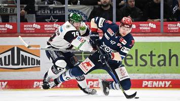 Eisbären-Zugang: In München aussortiert, beim Meister hofiert