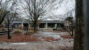 Hochqualifiziert und inklusiv: Eltern fürchten um Vorzeige-Kita