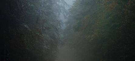 sturm bringt wetterumschwung: dwd warnt vor sturmböen und schneefall in schwaben