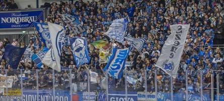 vorfall nach panther-derby: zeuge erhebt vorwürfe gegen vorgehen der polizei