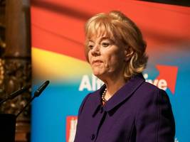 Parteinahe Stiftungen: Kommt die AfD jetzt an das große Steuergeld?