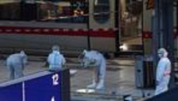 elbvertiefung: der tägliche newsletter aus hamburg: lydia s. hätte hilfe gebraucht. dann stach sie zu