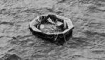 gulf livestock 1: kurs ins auge des sturms