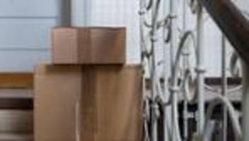 In der Packstation: Frau gibt versehentlich Katze im Paket auf