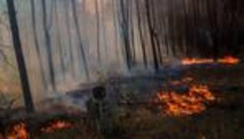 Klimakrise: Ukraine will 43 Milliarden von Russland für Klimaschäden