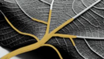 konflikte in der familie: toxische kommunikation: der leise familienkiller