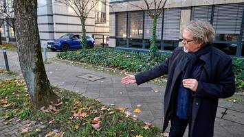 Baumgesetz: „Wie viel marode Schulen könnten stattdessen saniert werden?“