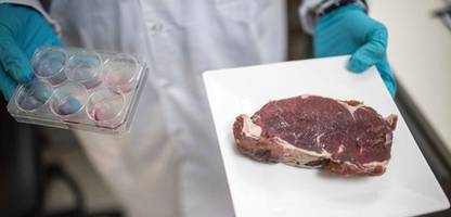 Ungarn: Regierung von Viktor Orbán verbietet Laborfleisch wegen »nationaler Identität«