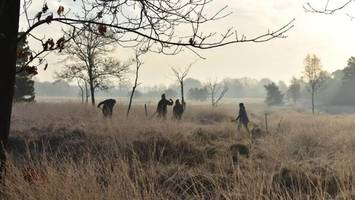 Niederlande: Römische Spuren außerhalb des Limes entdeckt