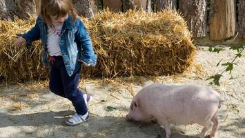 Problem-Projekt Ökotarium: Eröffnung des Neubaus erneut verschoben