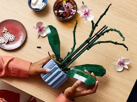 Einzelhandel: Die Spielzeugbranche wächst trotz Krise