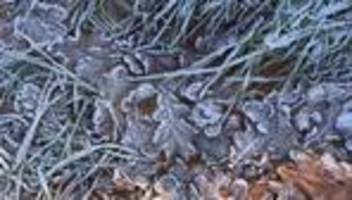 Wetter: Dauerhafte Kälte und Niederschläge im Südwesten erwartet