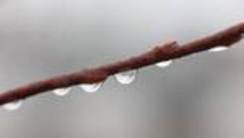 Wetter: Winterwetter: Schnee und Frost in Niedersachsen