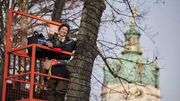 weihnachtsmarkt am schloss charlottenburg: dieser „moment wird bombastisch“