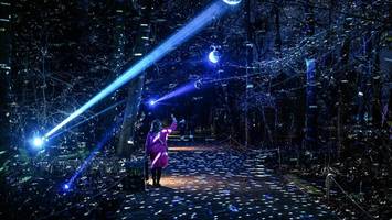 christmas garden 2025 in berlin: das sagen die ersten besucher