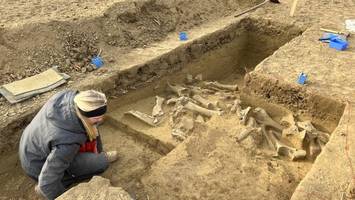 „Erwartungen übertroffen“: Mammut-Funde verblüffen Archäologen