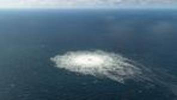 Anschläge auf Pipelines: Auslieferung des Nord-Stream-Verdächtigen kommende Woche