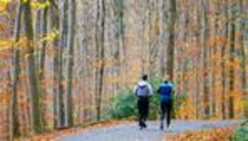 krankheiten und insekten: erholungsziel, sehnsuchtsort, patient - was dem wald gut tut