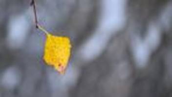 Minusgrade in der Nacht: Der Frost ist da