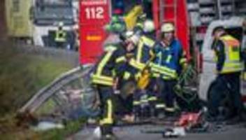 verkehr: nach unfall vermisster hund ist noch nicht gefunden