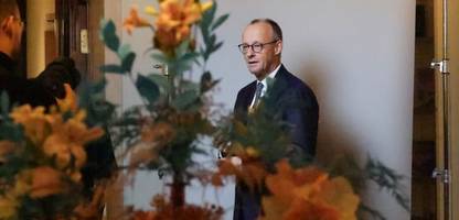 friedrich merz: grüne politikerin lisa badum schickt aus belém protestschreiben an den kanzler