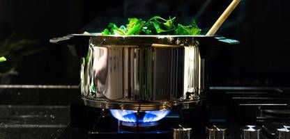 gemüse: ist aufgewärmter spinat giftig?